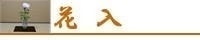 LinkIcon