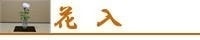 LinkIcon